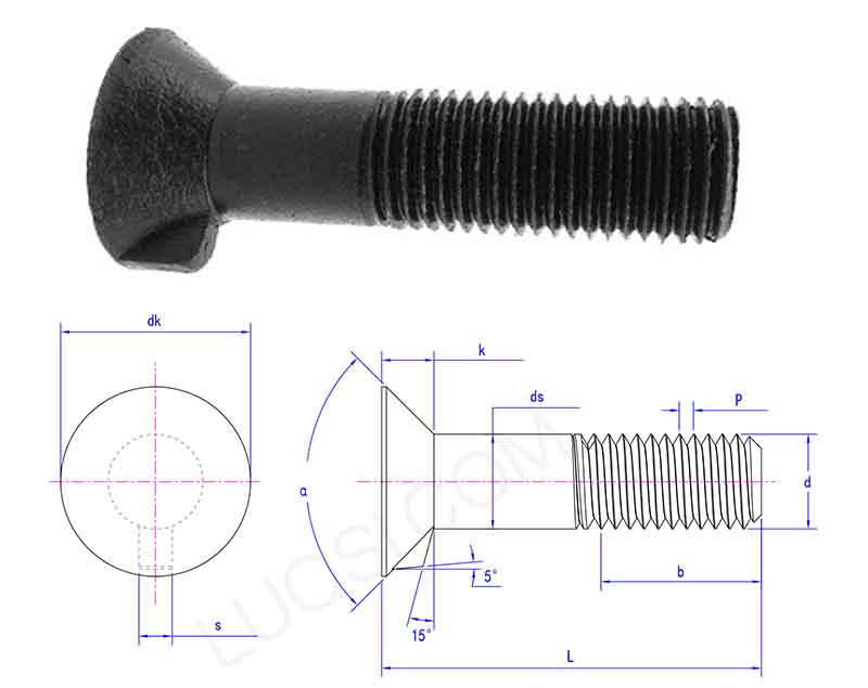 rough flat head bolt with reverse key